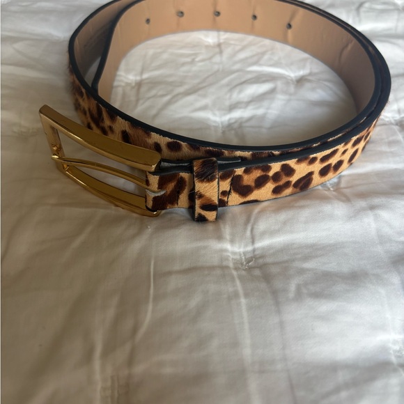 Express Calf Hair Leopard Print Belt with Gold Buckle - Picture 4 of 10